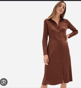 NWT Everlane The Luxe cotton shirt dress brown size xxs